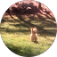Sunny Morris Avatar