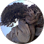 Eric Sheffield Avatar
